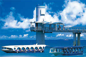 ブセナ海中公園 （特別会員）